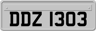DDZ1303