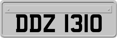 DDZ1310