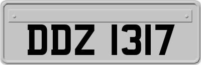 DDZ1317