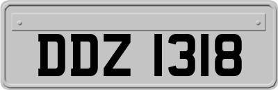 DDZ1318