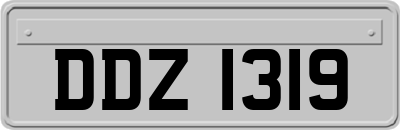 DDZ1319