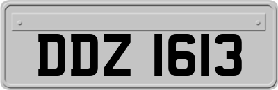 DDZ1613