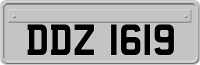 DDZ1619