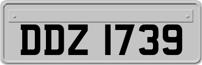 DDZ1739