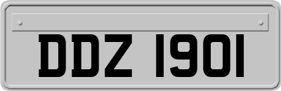 DDZ1901
