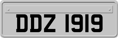 DDZ1919