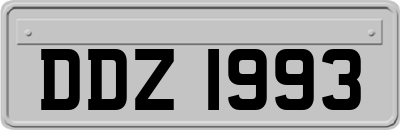DDZ1993