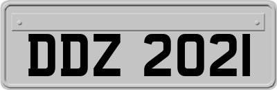 DDZ2021