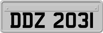 DDZ2031