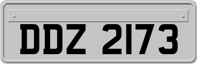 DDZ2173