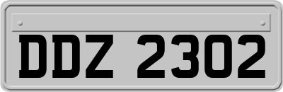 DDZ2302
