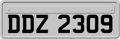 DDZ2309