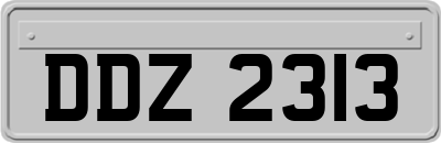 DDZ2313