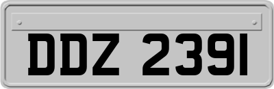 DDZ2391