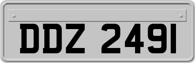 DDZ2491