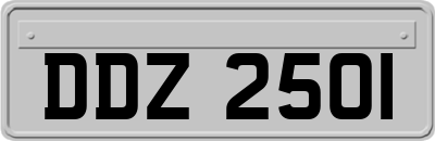 DDZ2501