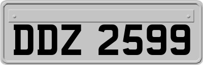 DDZ2599