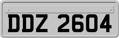 DDZ2604