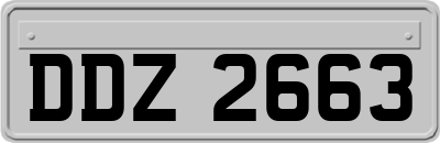 DDZ2663