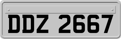 DDZ2667