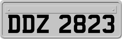 DDZ2823