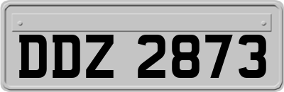 DDZ2873
