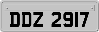 DDZ2917