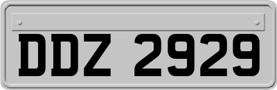 DDZ2929