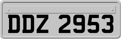 DDZ2953