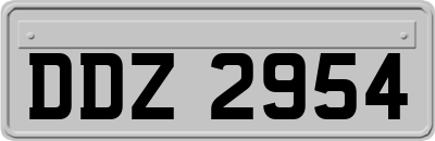 DDZ2954