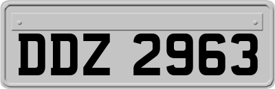 DDZ2963