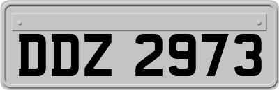 DDZ2973