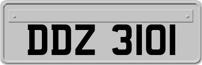 DDZ3101