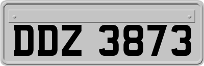 DDZ3873