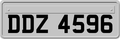 DDZ4596