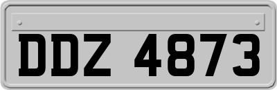 DDZ4873