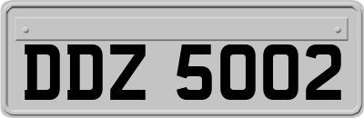 DDZ5002