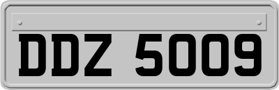 DDZ5009