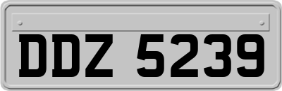 DDZ5239