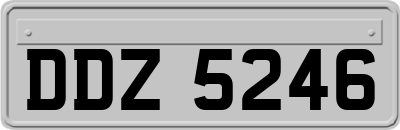 DDZ5246