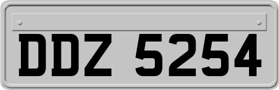 DDZ5254