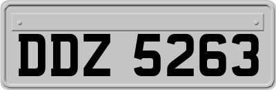 DDZ5263