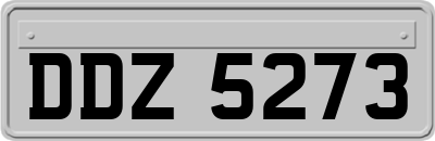 DDZ5273
