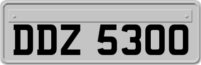 DDZ5300