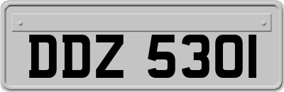 DDZ5301