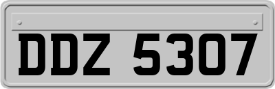 DDZ5307