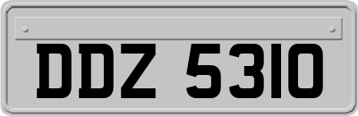DDZ5310