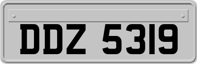 DDZ5319