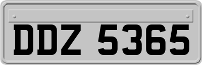 DDZ5365
