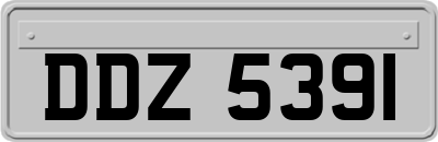 DDZ5391